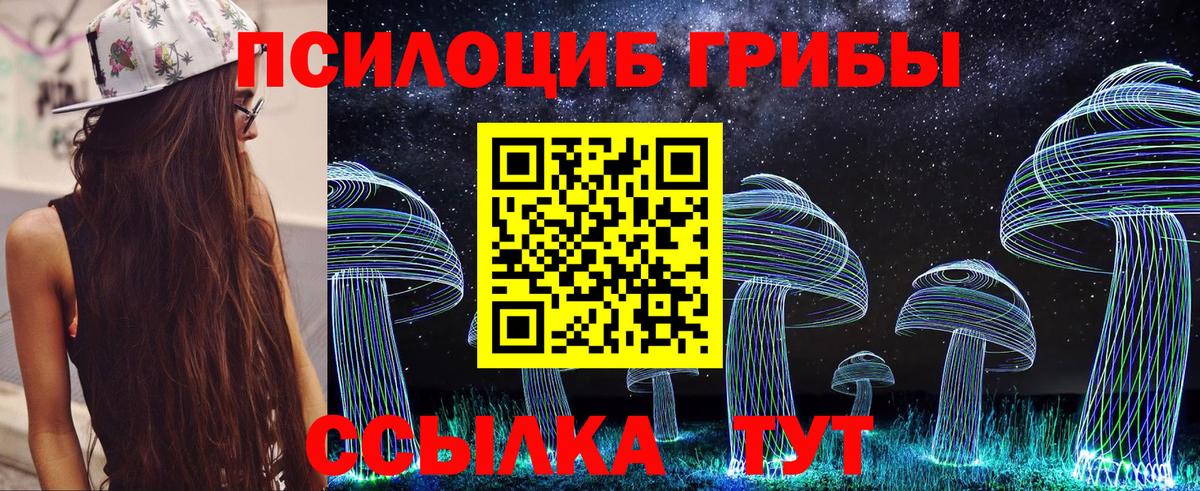 Псилоцибиновые грибы Psilocybe  Галлюциногенные грибы Psilocybine cubensis  Вход с VPN  Серпухов 